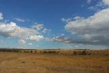 Masai Mara