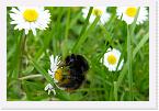 DSC5001 * 3284 x 2192 * (1.95MB)
