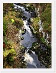 PICT5611 * The stream below the Bridge to Nowhere * 1704 x 2272 * (1.54MB)