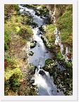 PICT5612 * The stream below the Bridge to Nowhere * 1704 x 2272 * (1.83MB)