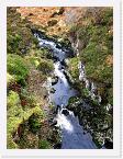 PICT5613 * The stream below the Bridge to Nowhere * 1704 x 2272 * (1.96MB)