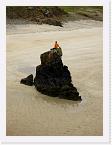 PICT5625 * Steve on one of the rock pinacles on Traigh Ghearadha * 1704 x 2272 * (667KB)