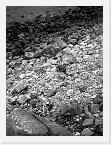 PICT5672-bw * Boulder beach on the shores of Loch Cravadale * 1704 x 2272 * (1.54MB)