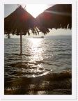 PICT1304 * 1704 x 2272 * (1.57MB)