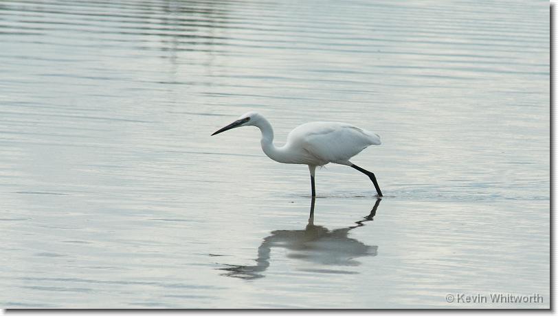 Next slide