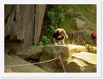PICT2119 * 2272 x 1704 * (1.75MB)