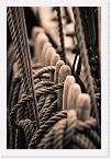 DSC9083 * 2592 x 3872 * (3.37MB)