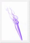 DSC0646-invert * 2592 x 3872 * (1.79MB)
